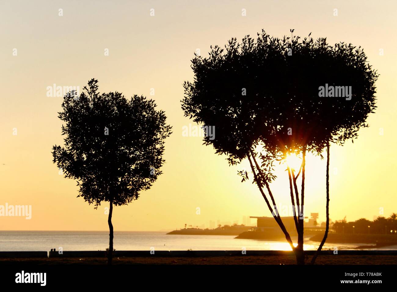 Le soleil levant Banque D'Images