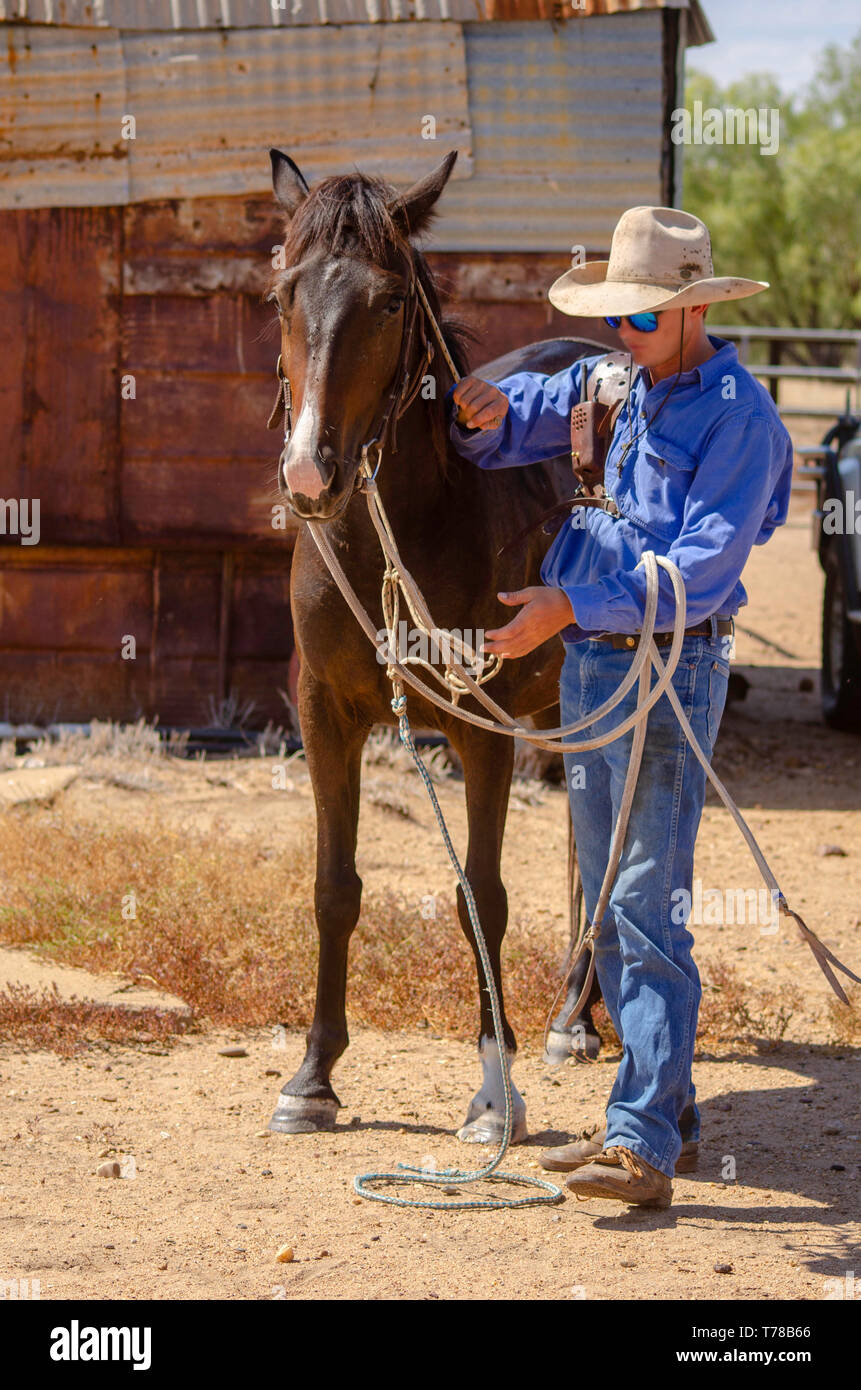 Un Jackaroo tend à son cheval Banque D'Images