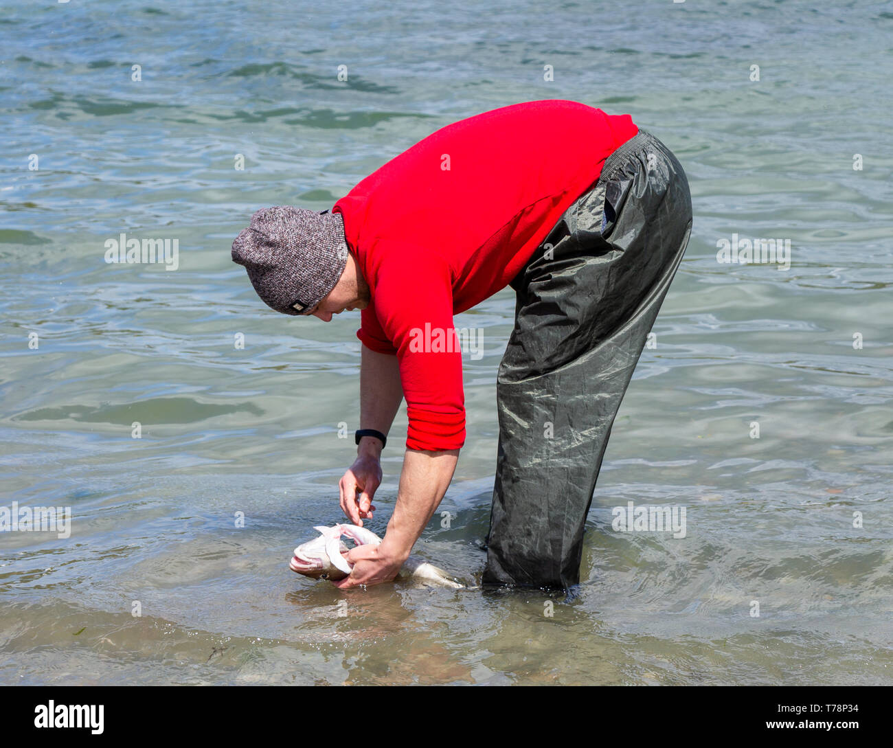 Mer mâle nettoyage du pêcheur à ses prises de poissons de ligne dans la mer Banque D'Images