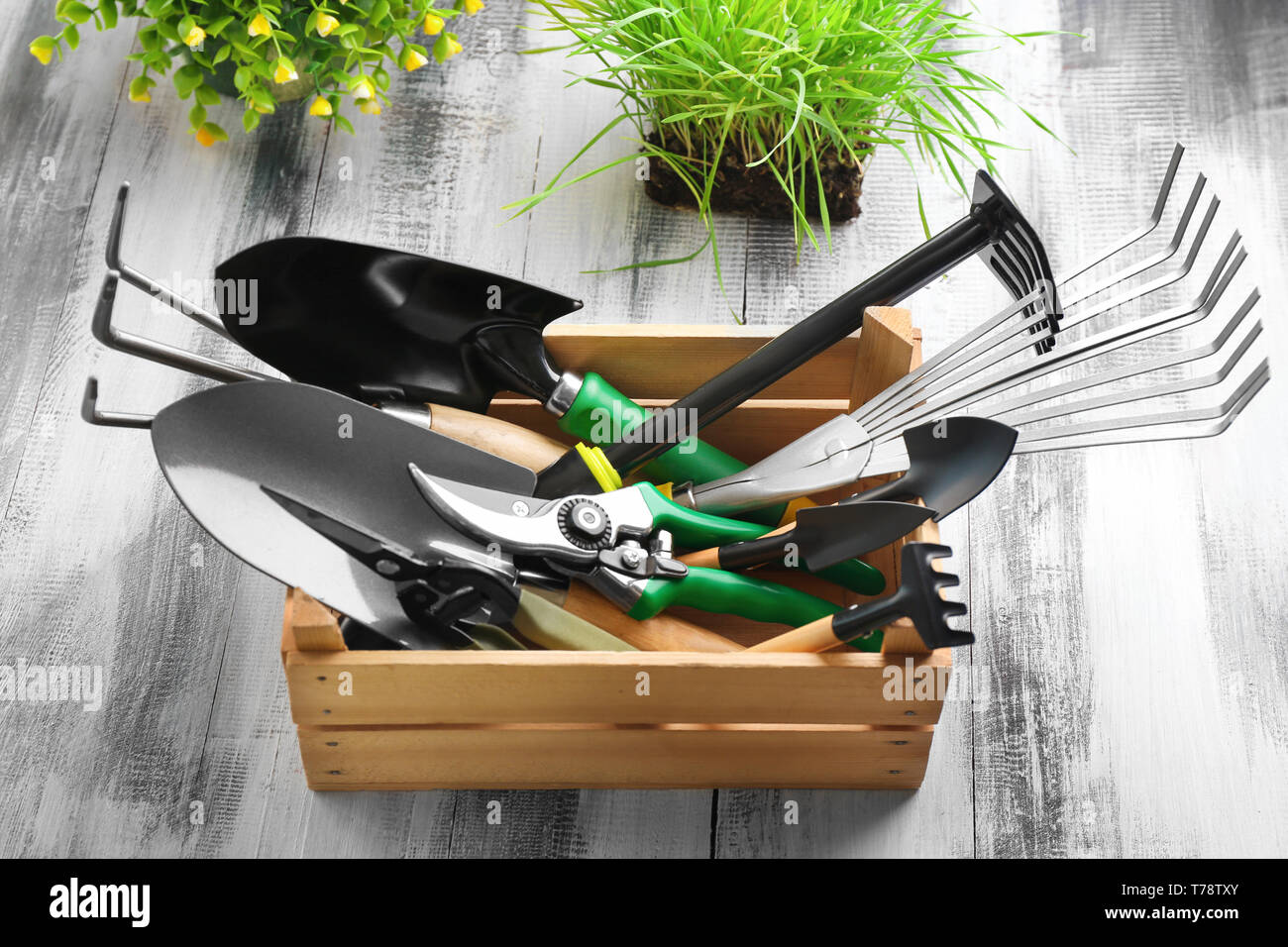 Avec caisse en bois sur la table d'outils de jardinage Banque D'Images