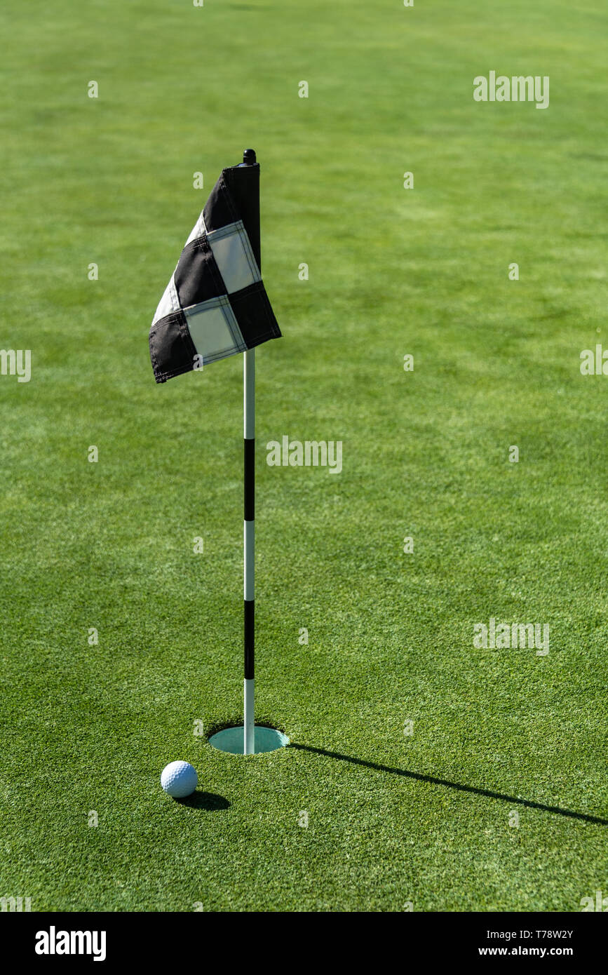 Balle de Golf sur practice putting green à côté du trou et drapeau, matin ensoleillé Banque D'Images