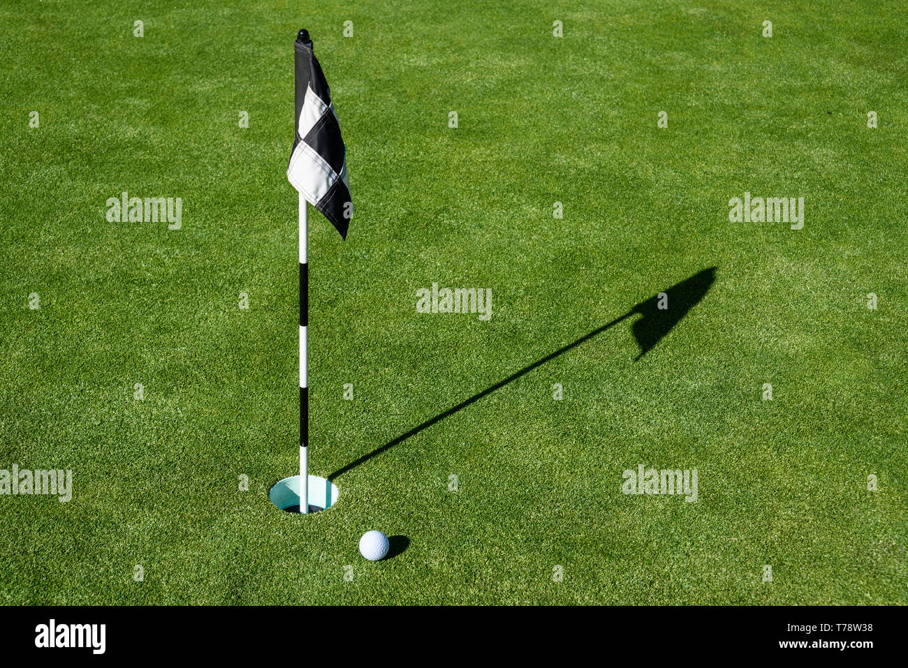Balle de Golf sur practice putting green à côté du trou et drapeau, matin ensoleillé Banque D'Images