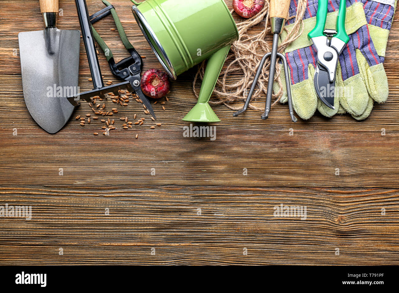 Outils de jardinage sur fond de bois Banque D'Images