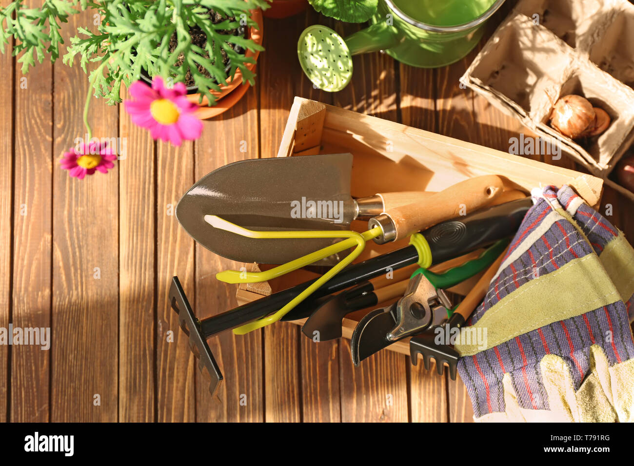 Avec caisse en bois sur la table d'outils de jardinage Banque D'Images