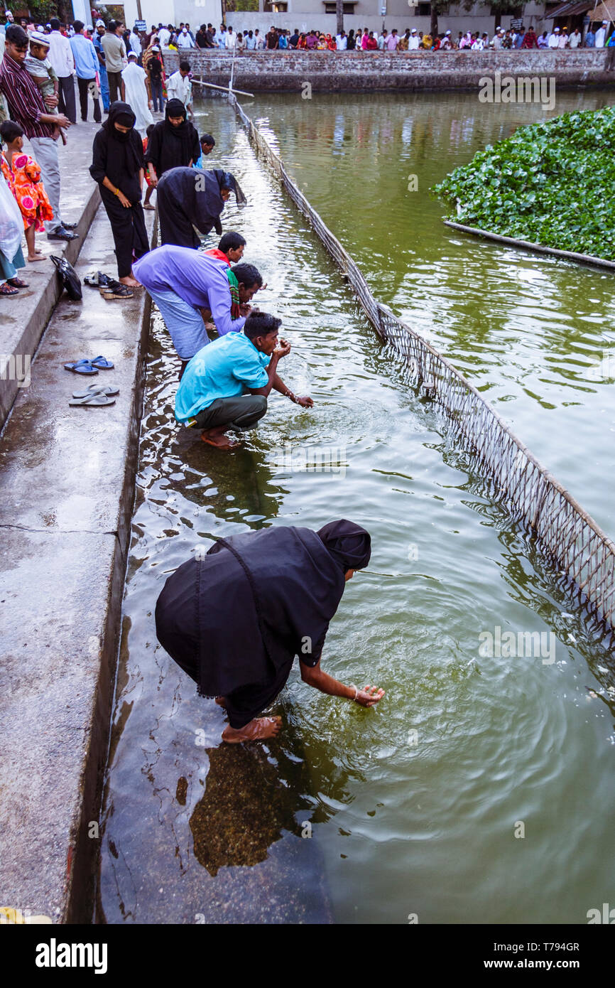 Sylhet, Bangladesh : Les pèlerins font leurs ablutions à l'étang rempli de poissons-chats sacrés à l'extrémité nord du sanctuaire de Hazrat Shah Jalal (un re Banque D'Images