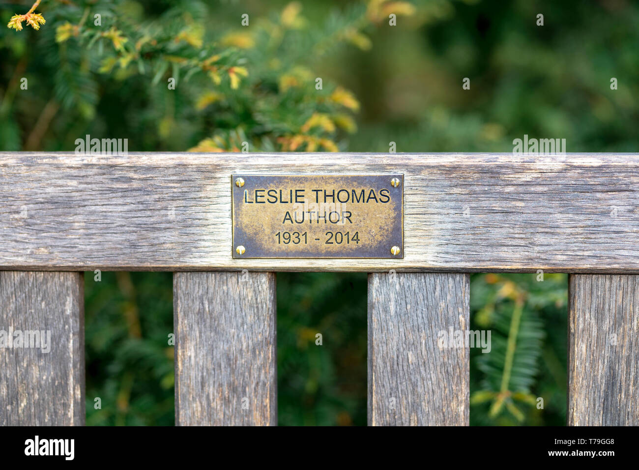 Petite plaque en laiton dédié à Auteur Leslie Thomas sur banc en bois Banque D'Images