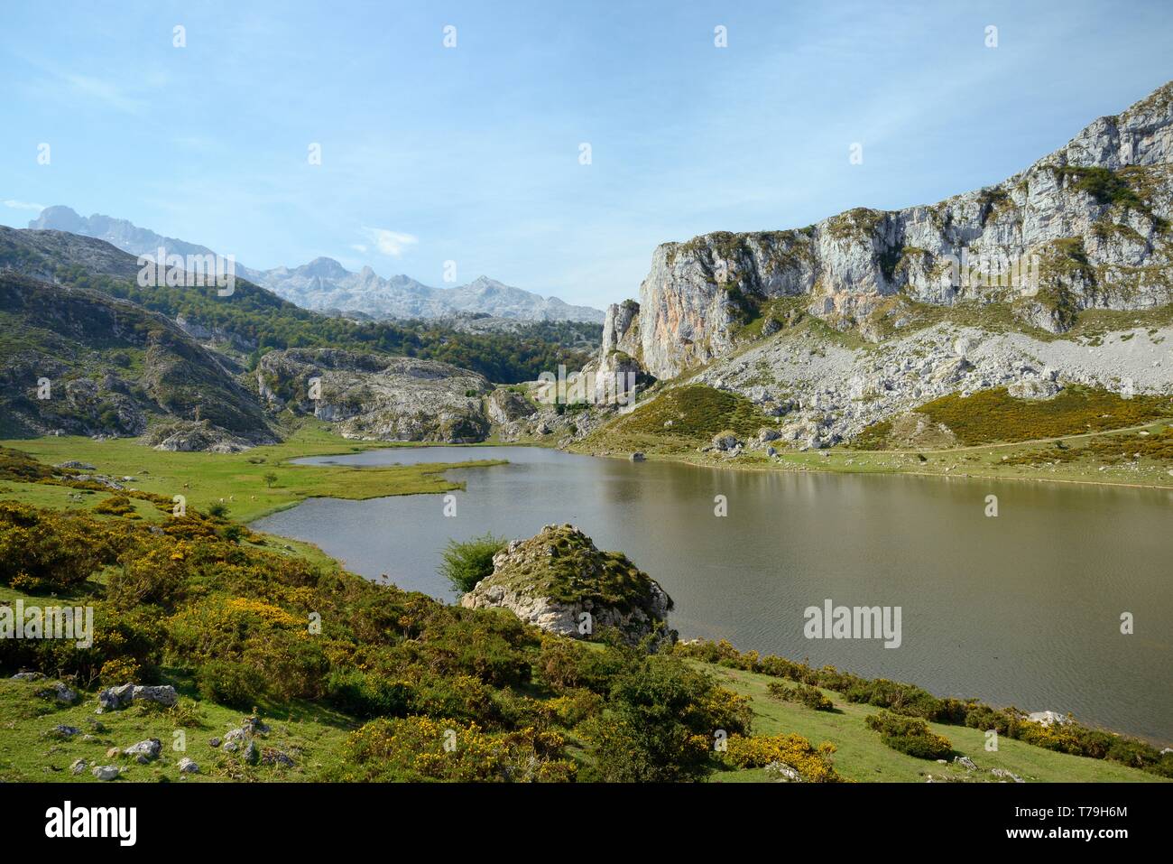 Sommaire du lac Ercina, les Lacs de Covadonga, Picos de Europa, Asturias, Espagne, août 2016. Banque D'Images