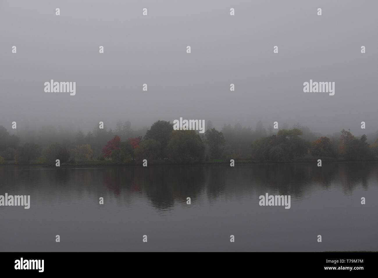 Recherche à travers le lac Dow vers l'Arboretum sur un matin d'automne brumeux, Ottawa, Ontario, Canada. Banque D'Images