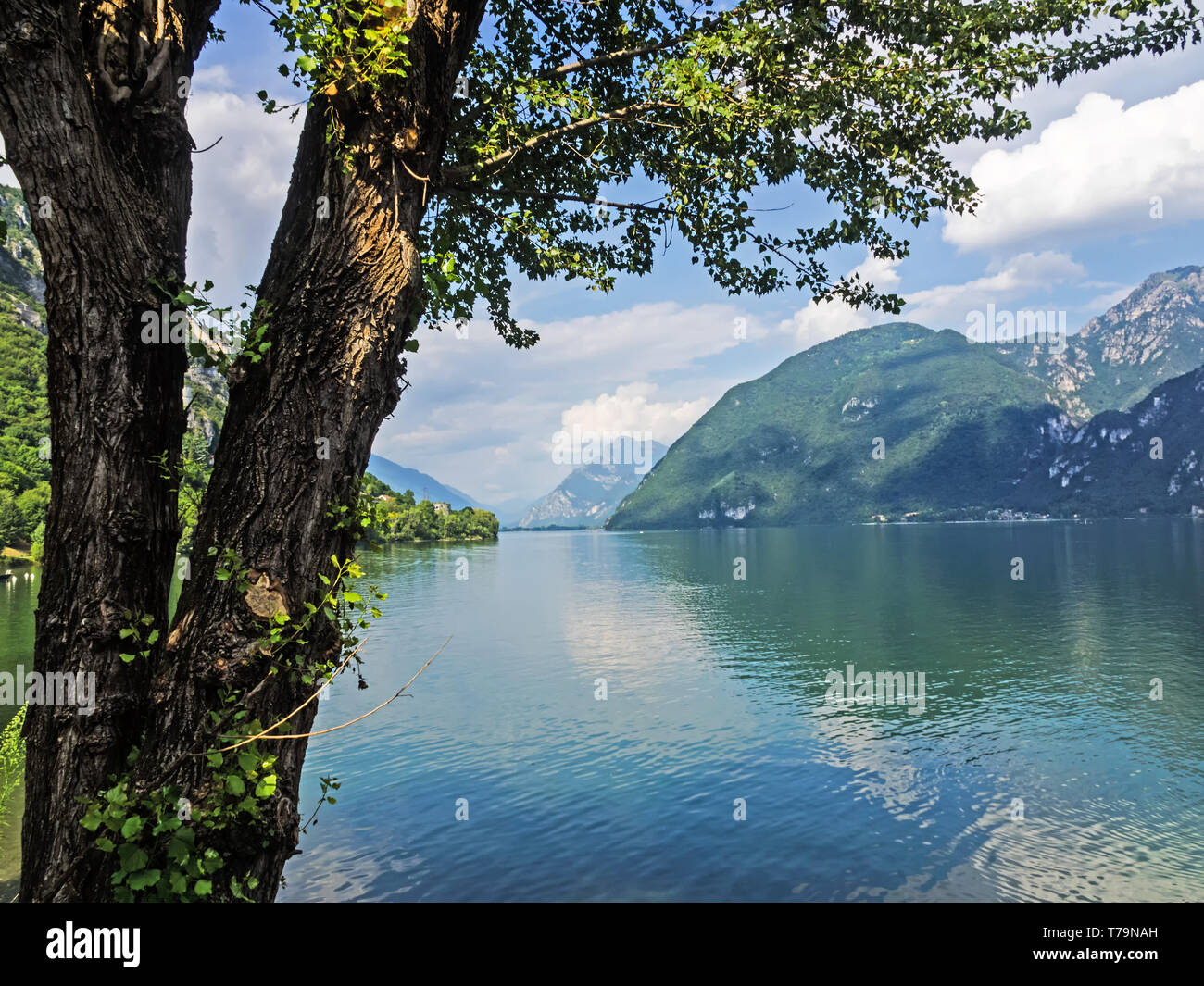 Vue sur le lac d'Idro avec arbre en premier plan, Italie Banque D'Images