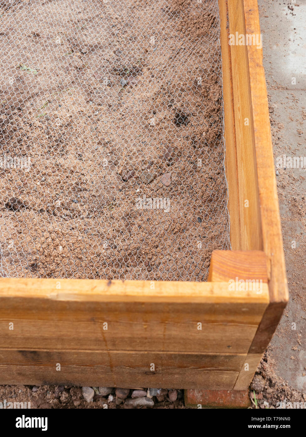 Lit surélevé doublé de fil de poulet pour garder les gophers, les campagnols et les grains de beauté à l'extérieur. Banque D'Images