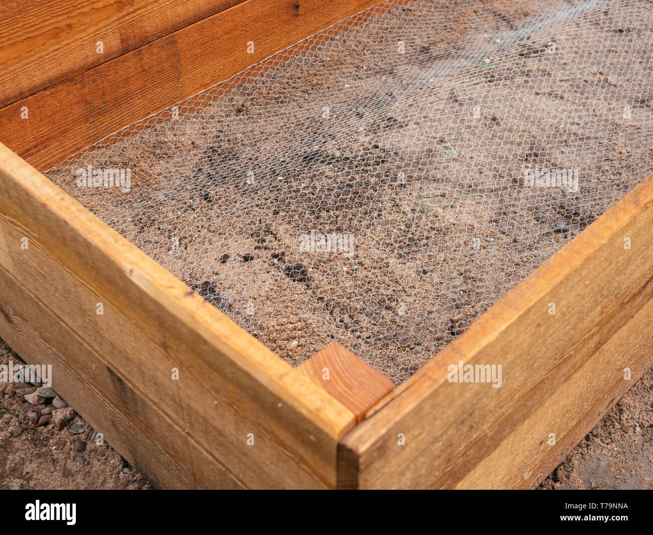 Lit surélevé doublé de fil de poulet pour garder les gophers, les campagnols et les grains de beauté à l'extérieur. Banque D'Images