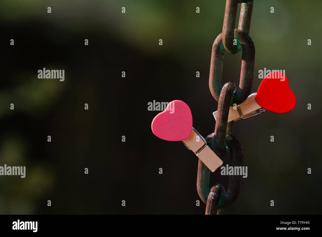 Love concept : deux clips rouge et rose avec forme de coeur sur une chaîne en acier avec jardin ou fond vert Banque D'Images