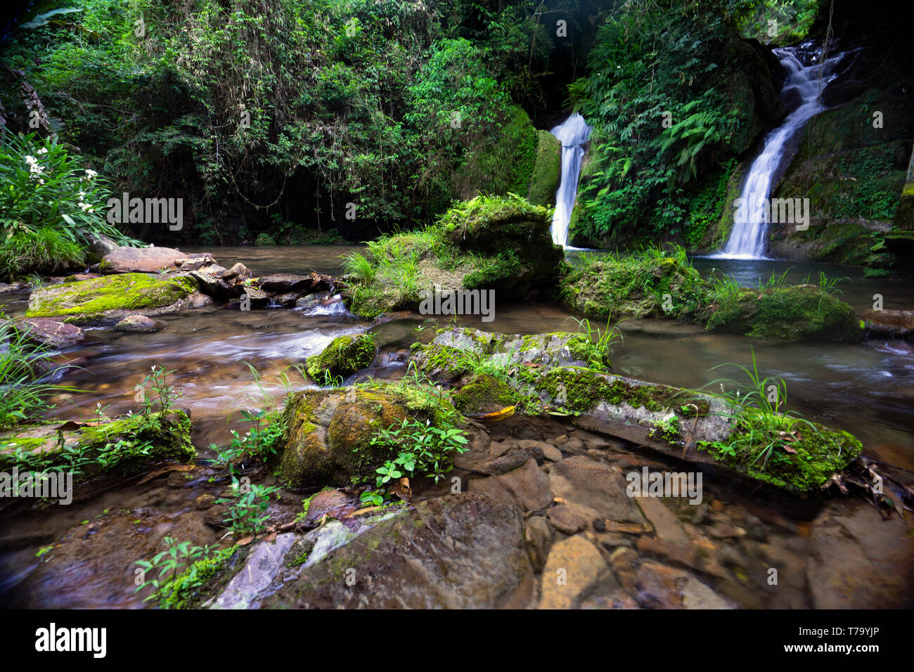 Dans Taquaruvira cascade Cachoeira Iporanga, Brésil Banque D'Images