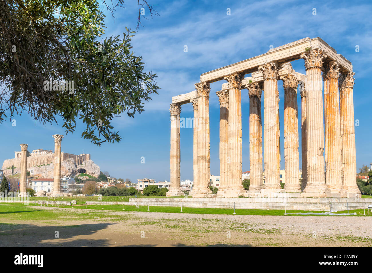 Temple de l'Olympe Zeus et l'Acropole à Athènes, Grèce. Banque D'Images