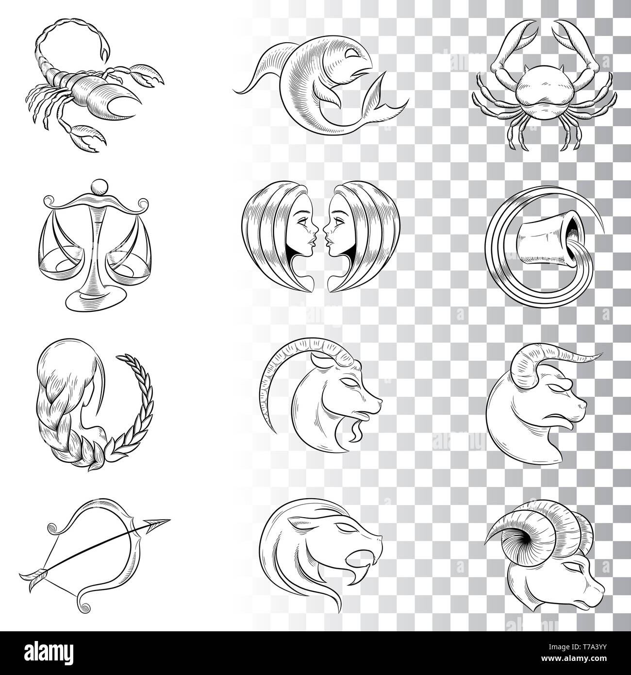 Vector Illustration de croquis dessinés à la main, Signes du zodiaque ...