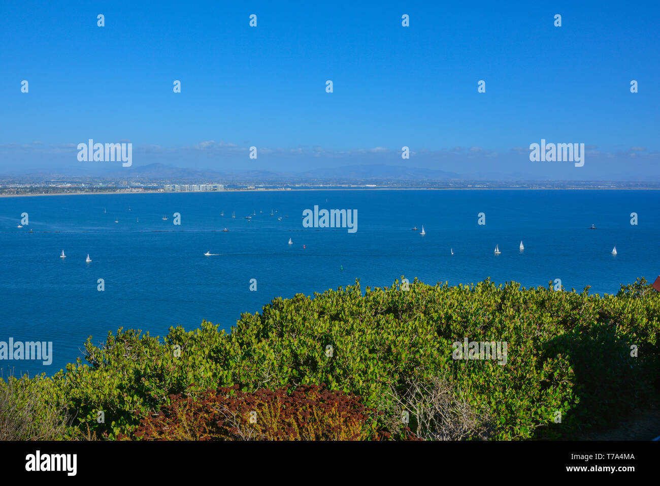 Vue panoramique sur la baie de San Diego en retour côté mountaint Banque D'Images