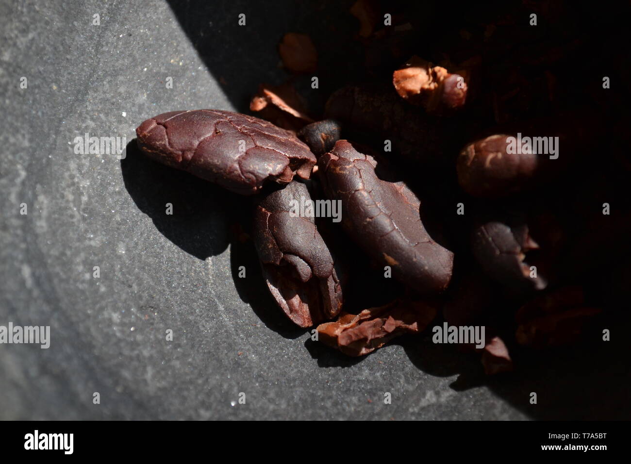 Tout cacao fèves grillées prêt pour chocolat artisanal préparation à l'aide du mode livre dans un mortier sous la vive lumière du soleil. Banque D'Images