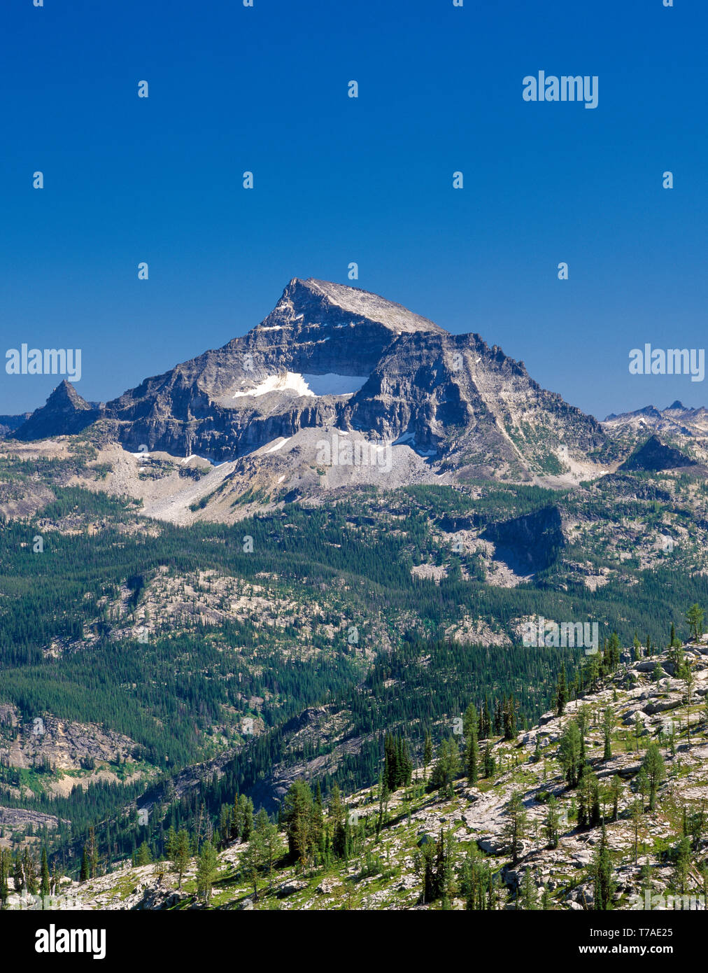 El Capitan dans la gamme bitterroot du désert-bitterroot selway près de Darby, Montana Banque D'Images