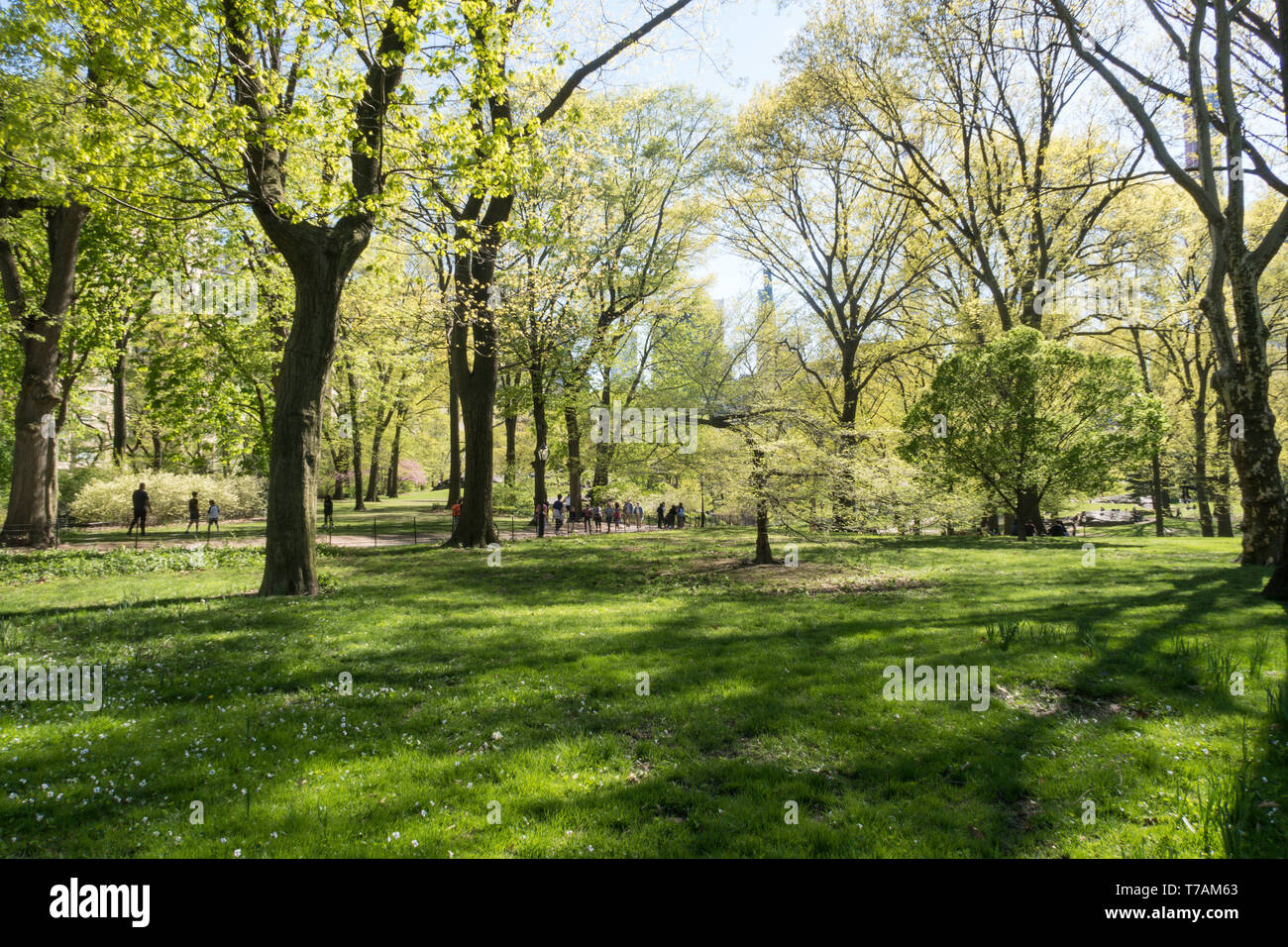 Superbe journée de printemps dans Central Park, NYC Banque D'Images