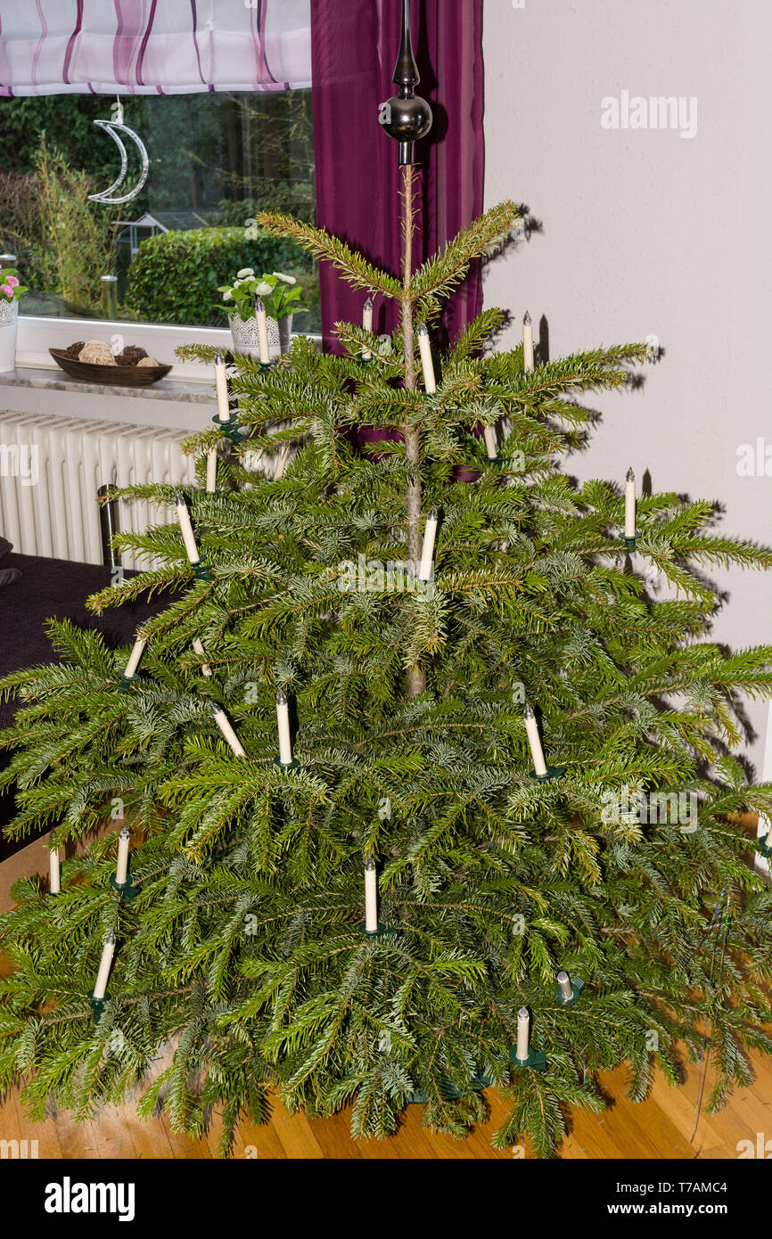 Belle avec la lumière de l'arbre de Noël décoré Banque D'Images