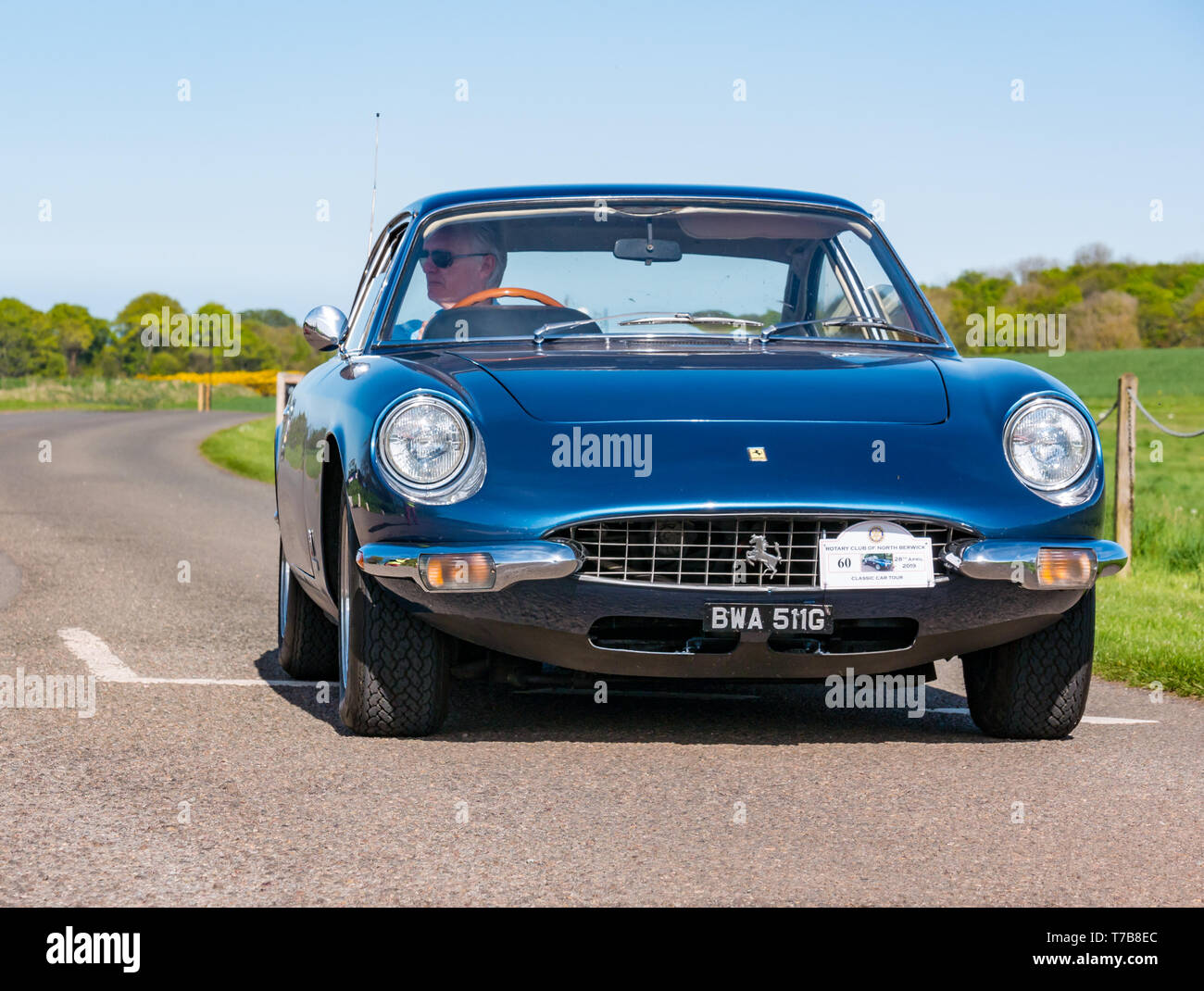 Classic vintage 1969 Ferrari 364 GT, immobiliers, North Berwick Archerfield Rotary Club voiture classique d' 2019, East Lothian, Scotland, UK Banque D'Images