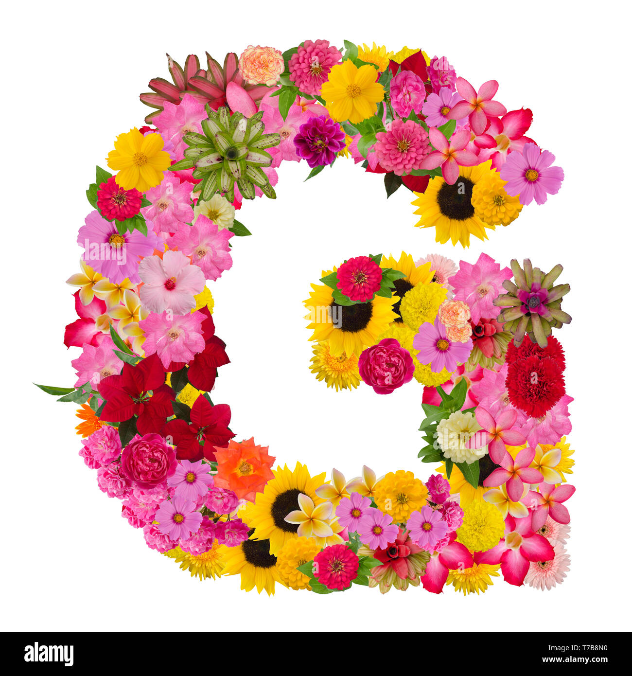 Alphabet Lettre G avec ABC fleurs type de concept que logo isolé sur fond blanc Banque D'Images