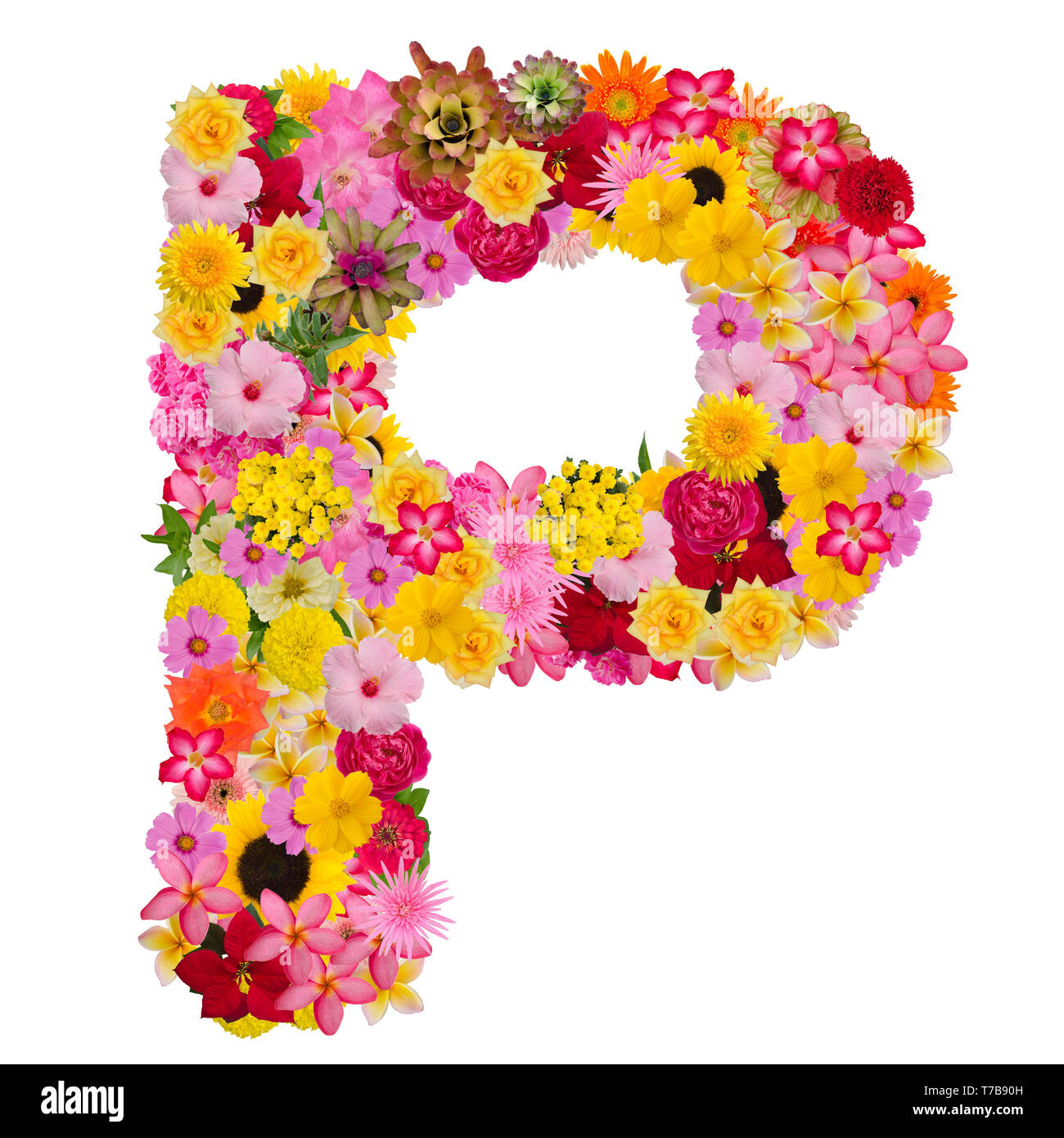 Lettre P avec alphabet ABC fleurs type de concept que logo isolé sur fond blanc. With clipping path Banque D'Images