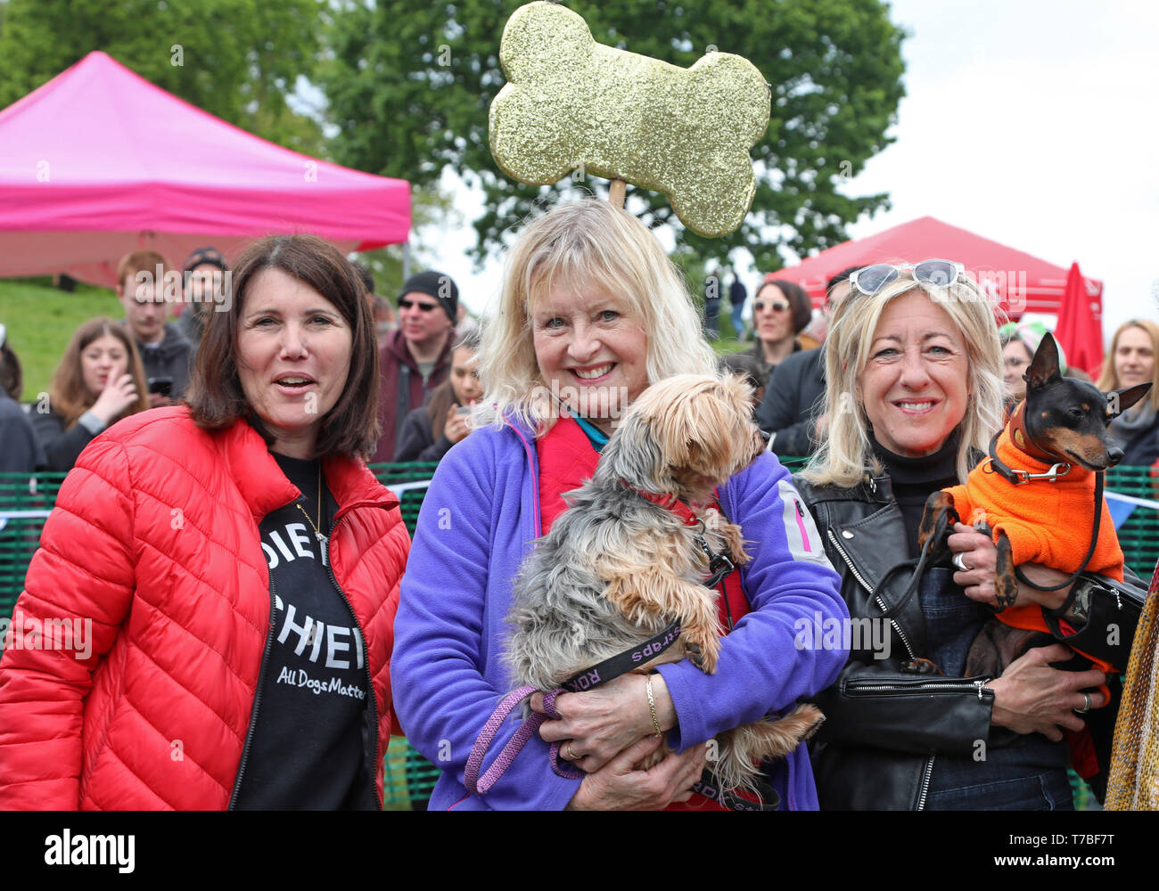 Londres, Royaume-Uni. 5e mai 2019. Liza Juge Goddard avec son Yorkshire Terrier, Violet, avec animateur Anna Webb et son chien Mr Binks et Ira Moss de SMA à l'écorce d'affaire tous les chiens dog show de bienfaisance, Hampstead Heath, Londres, Angleterre. Cute dog a pris part à plusieurs catégories de cette exposition annuelle qui est géré par l'organisme de bienfaisance qui abrite et rehomes les chiens à Londres et trouve des foyers pour les chiens d'outre-mer. Les chiens ont concouru pour être plus mignon chiot, meilleur et plus de sauvetage. Plus d'informations sur www.alldogsmatter.fr Crédit : Paul Brown/Alamy Live News Banque D'Images