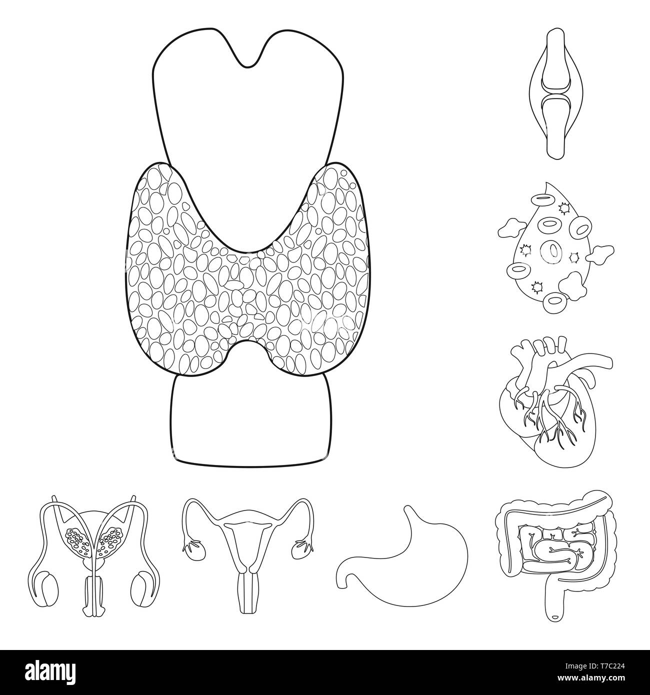 Os,dorsale,sang,coeur,estomac,urinaire,intestin,moelle,plasma,tendon,cardiologie,system,tube,tube,meubles,don,muscle coronaire,,mâle,femme,body,tube,maladie,moelle,reproduction,artère jéjunale,,joints,orgue,anatomie interne,médical,des,santé,biologie,scientifique,recherche,,laboratoire,set,icône,,illustration,collection,isolé,design,graphisme,élément signe,ligne,plan,vecteurs vecteur , Illustration de Vecteur