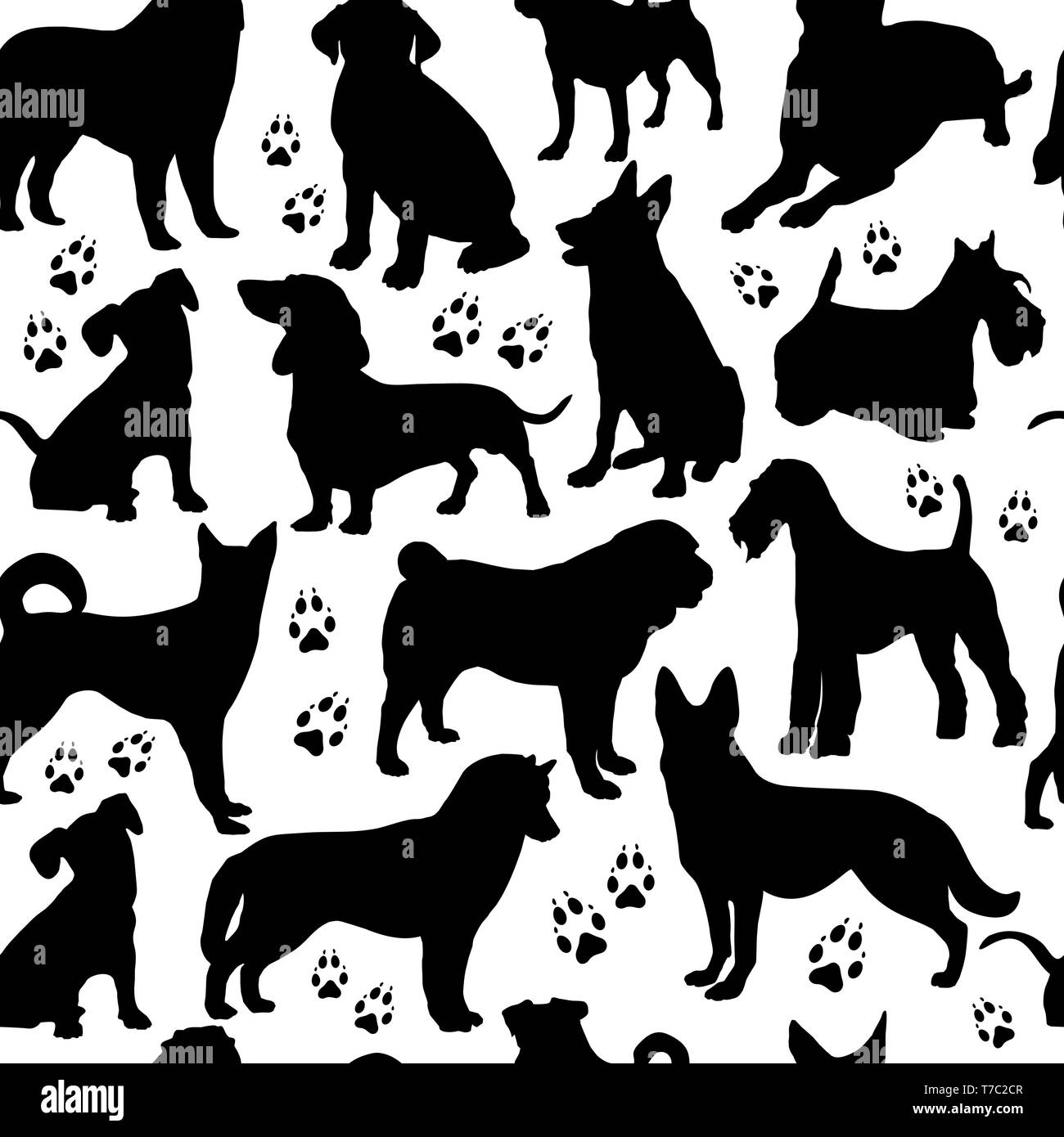 Motif transparente chien. Vector illustration d'animaux stok Illustration de Vecteur