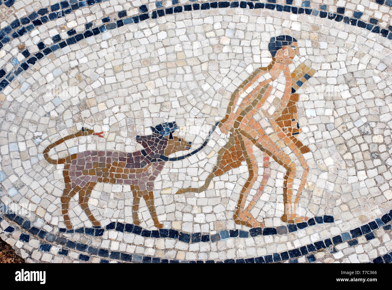 Vue de la mosaïque, Volubilis - Maroc - Hercules et Cerberus. Mosaïque romaine de la maison des travaux d'Hercule Banque D'Images