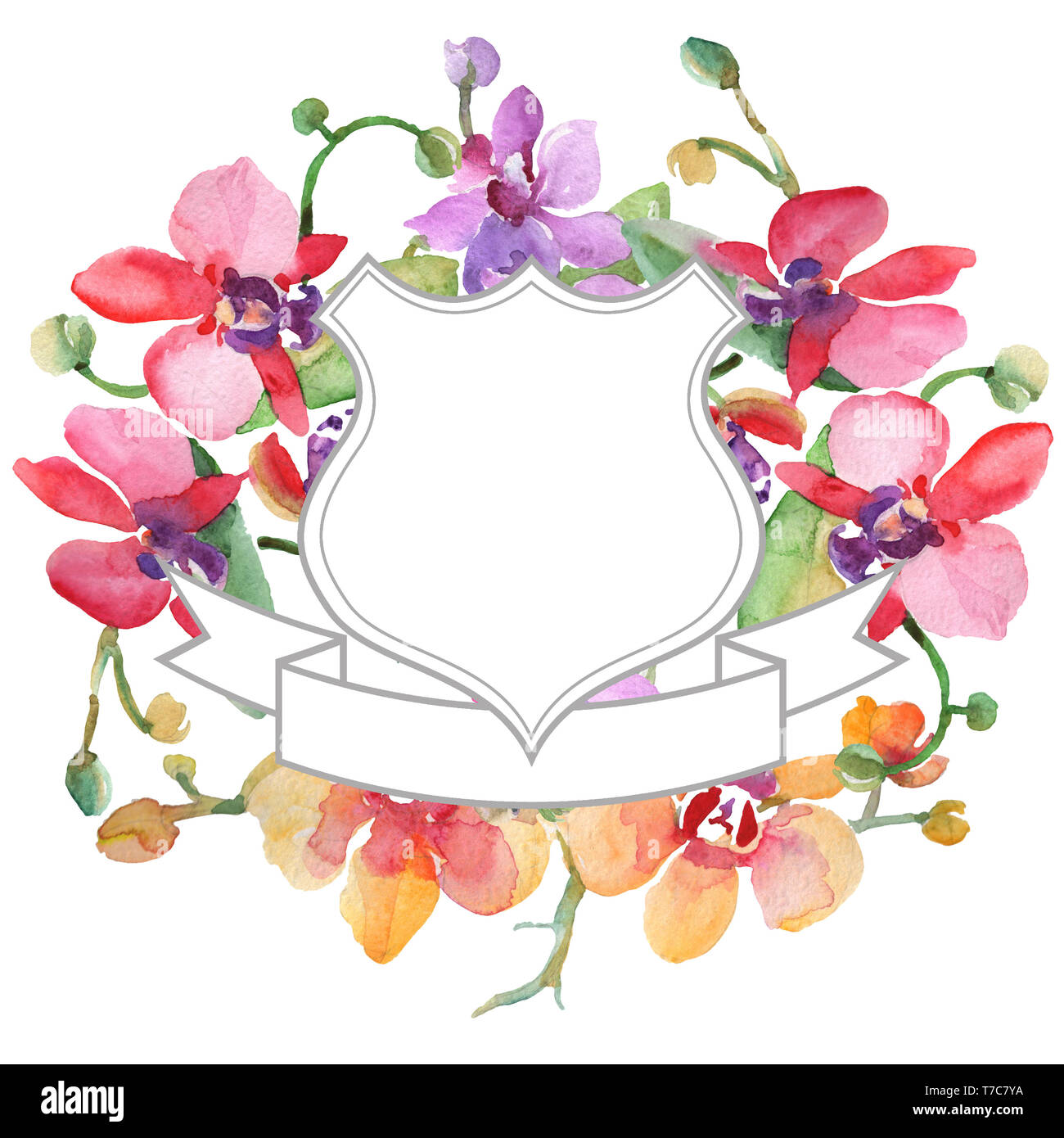 Bouquets de fleurs d'orchidées botaniques. Contexte aquarelle illustration set. Bordure de cadre carré ornement. Banque D'Images