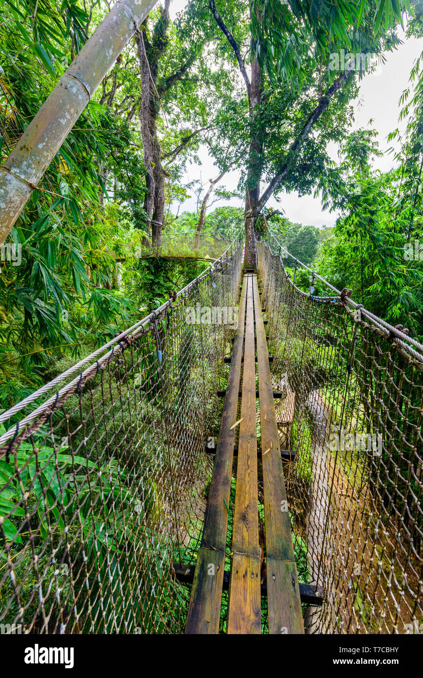 Jardin de Balata, Martinique jardin botanique tropical Paradise sur l