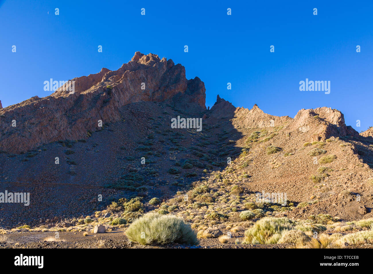 Montagne volcanique haut de Tenerife, Îles de Canaries, Espagne Banque D'Images