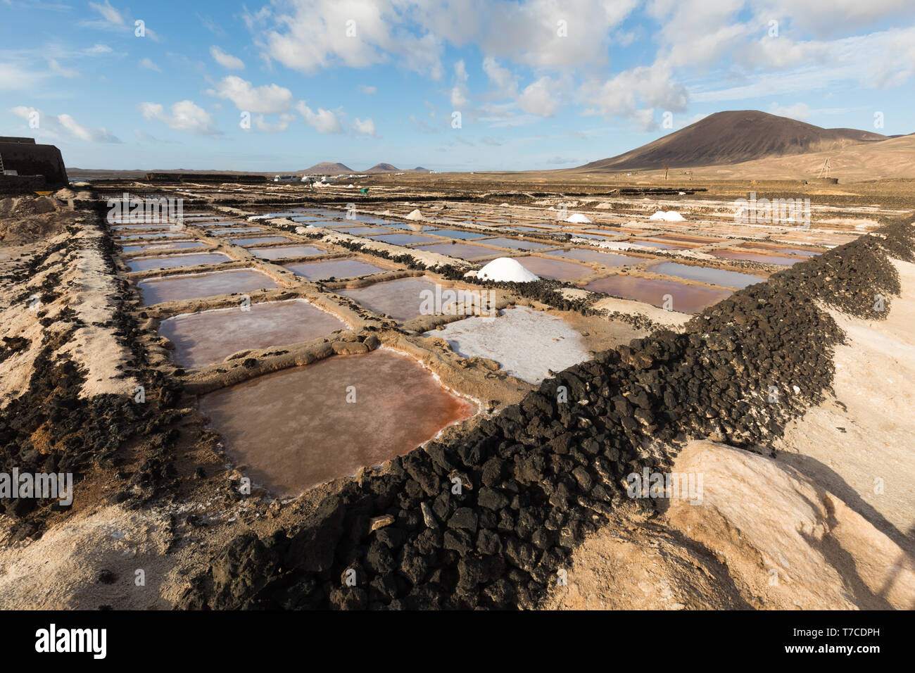 Mine de sel Los Cocoteros sur Lanzarote, Espagne Banque D'Images