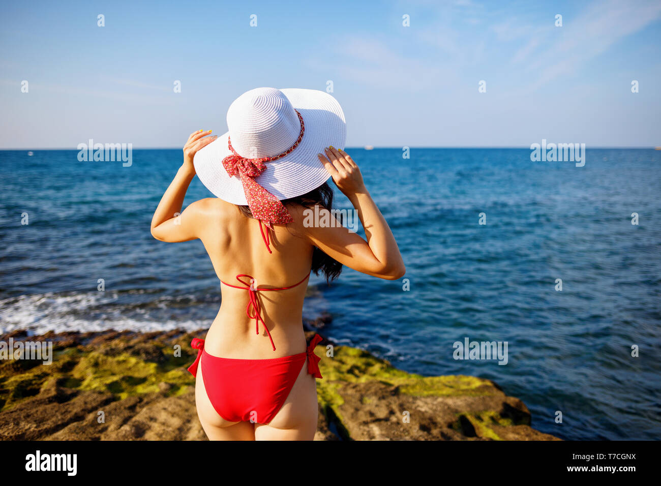 Vue arrière sur woman in bikini à la recherche sur le littoral. Banque D'Images