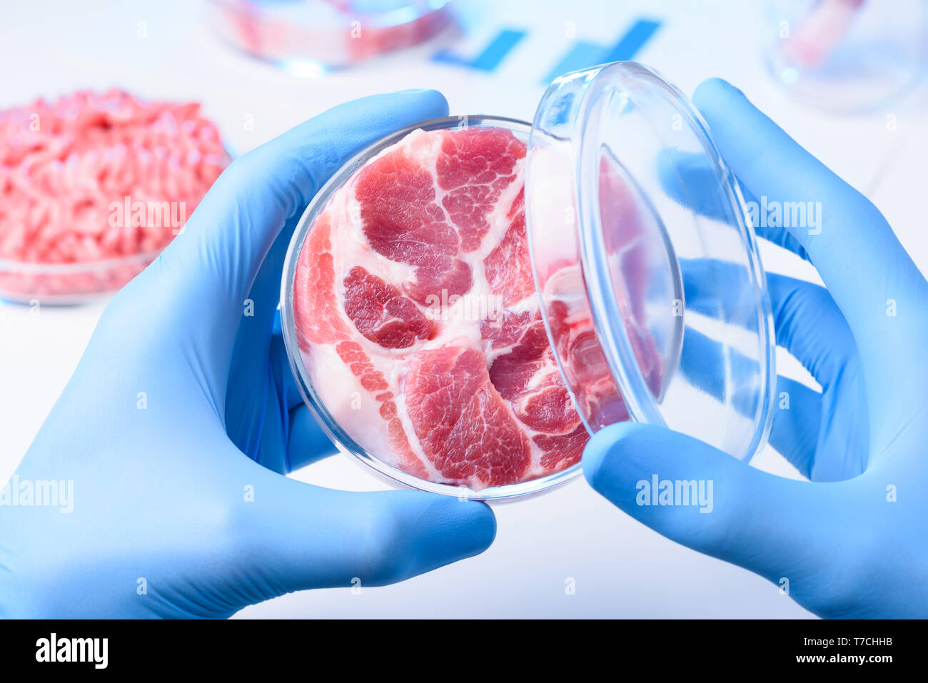 Échantillon de viande en laboratoire de pétri. Culture de cellules animales viande propre concept. Banque D'Images