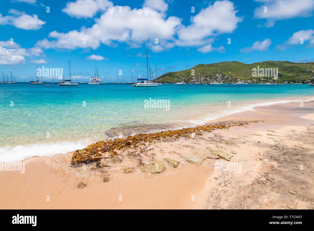 Plage sur l'île de Bequia, Saint Vincent et les Grenadines. Banque D'Images