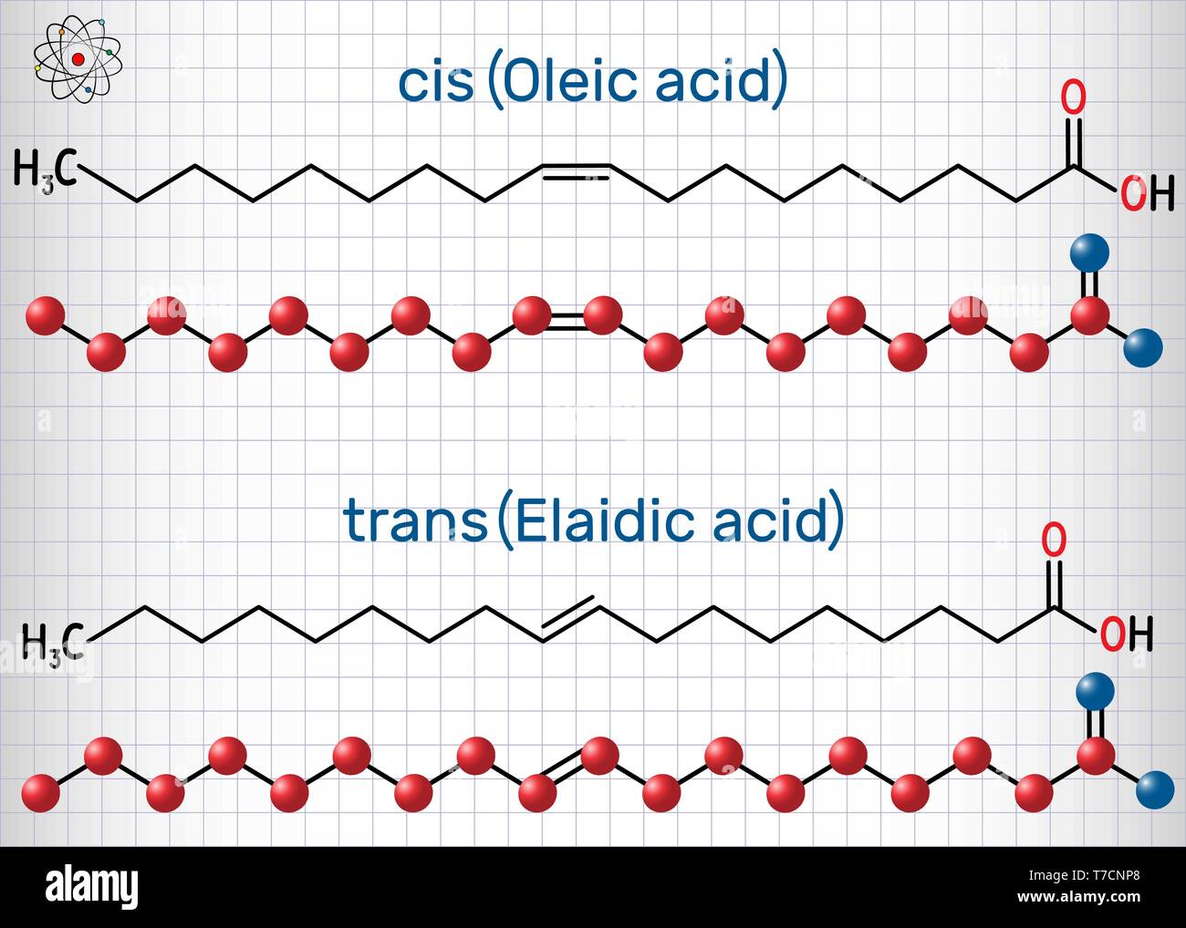 L'acide oléique (sic) et l'acide élaïdique (trans), les oméga-9 les acides gras sont des isomères géométriques. Formule chimique structurale et molécule modèle. Feuille de papier Illustration de Vecteur