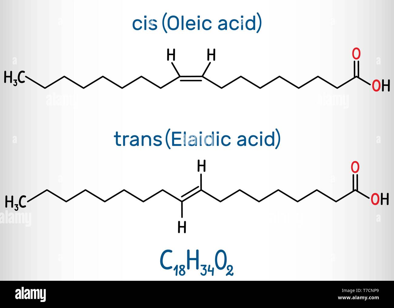 L'acide oléique (sic) et l'acide élaïdique (trans), les oméga-9 les acides gras sont des isomères géométriques. Formule chimique structurels. Vector illustration Illustration de Vecteur