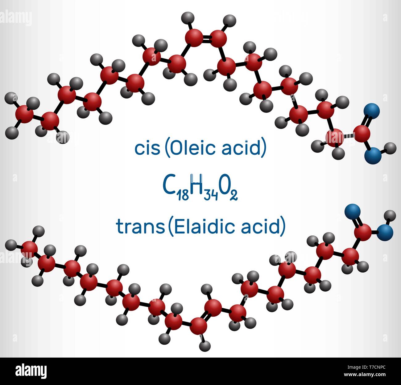 L'acide oléique (sic) et l'acide élaïdique (trans), les oméga-9 les acides gras sont des isomères géométriques. Molécule modèle. Vector illustration Illustration de Vecteur