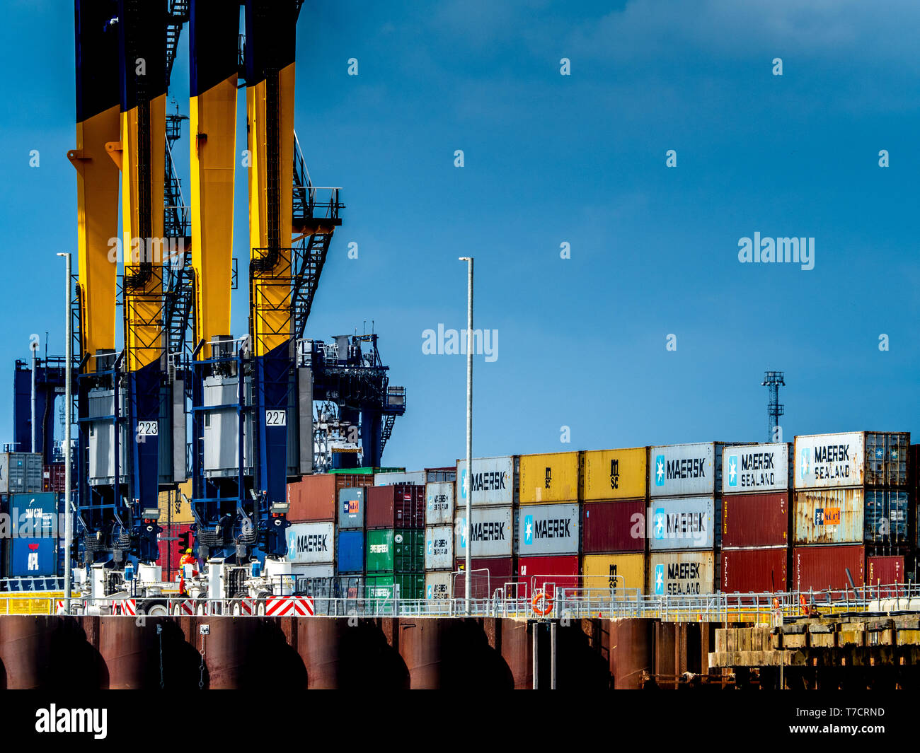 Port de Commerce Britannique - les contenants d'expédition Attendre chargement sur navires dans le port de Felixstowe, le plus important port à conteneurs du Royaume-Uni Banque D'Images