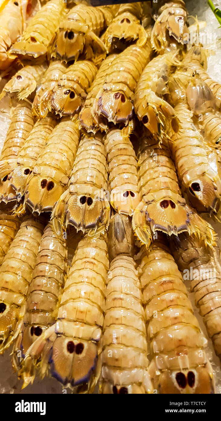 Squilla Mantis mantis (frais) de crevettes sur le marché aux poissons Banque D'Images