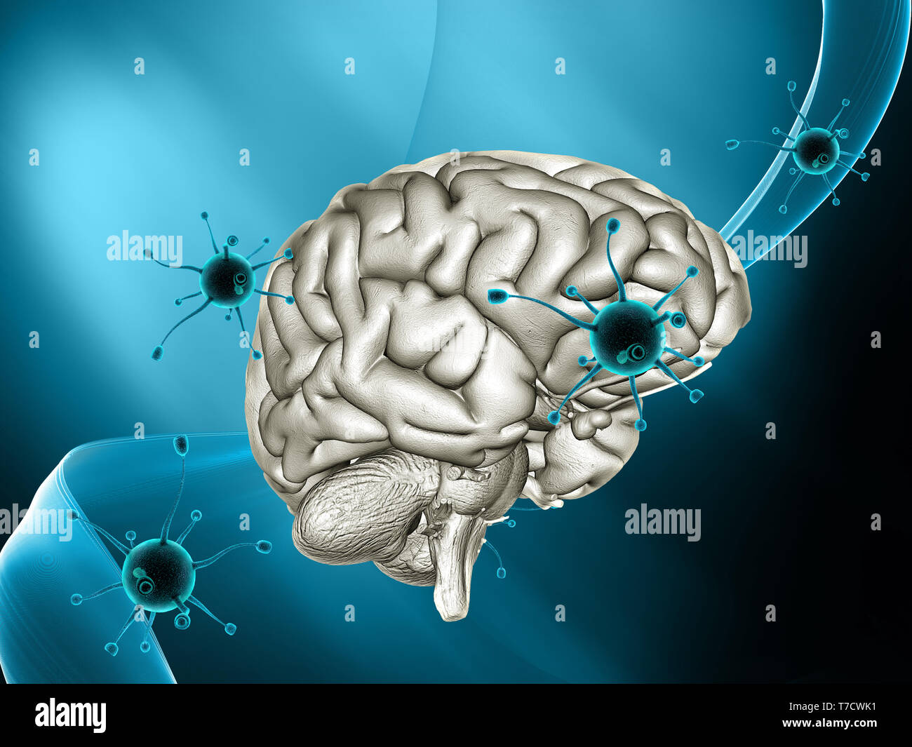 3D render of a medical background avec cellules virus attaquant un cerveau Banque D'Images