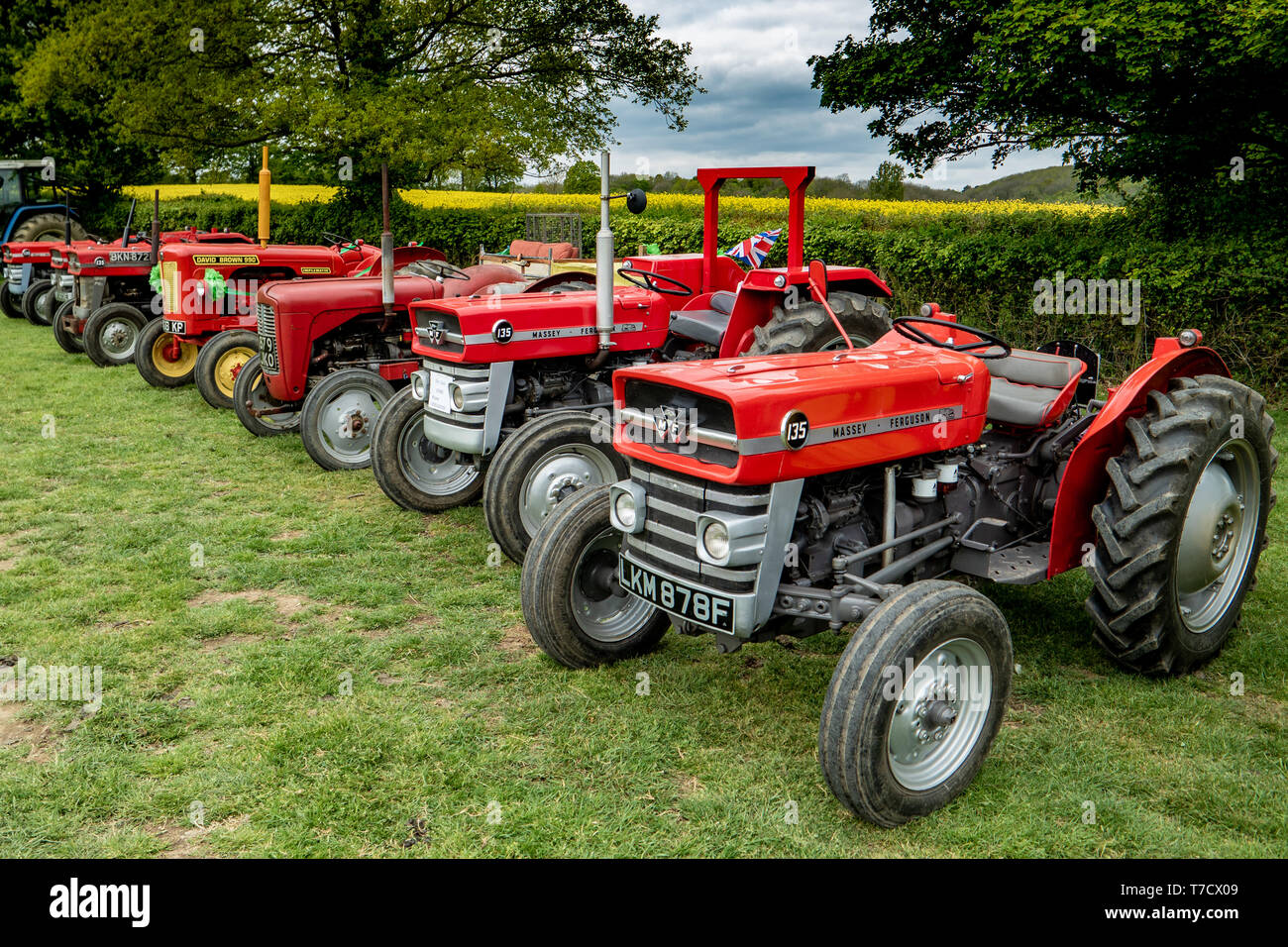 Vintage tourner le tracteur de Ightham Mote, National Trust, Kent, MF 135, Massey Ferguson 35, Banque D'Images