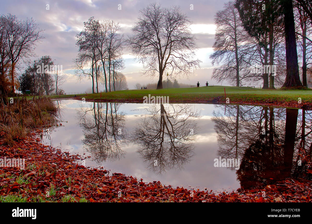 Rushmore Park Golf Club, Wilsthsire UK, tôt le matin. Banque D'Images