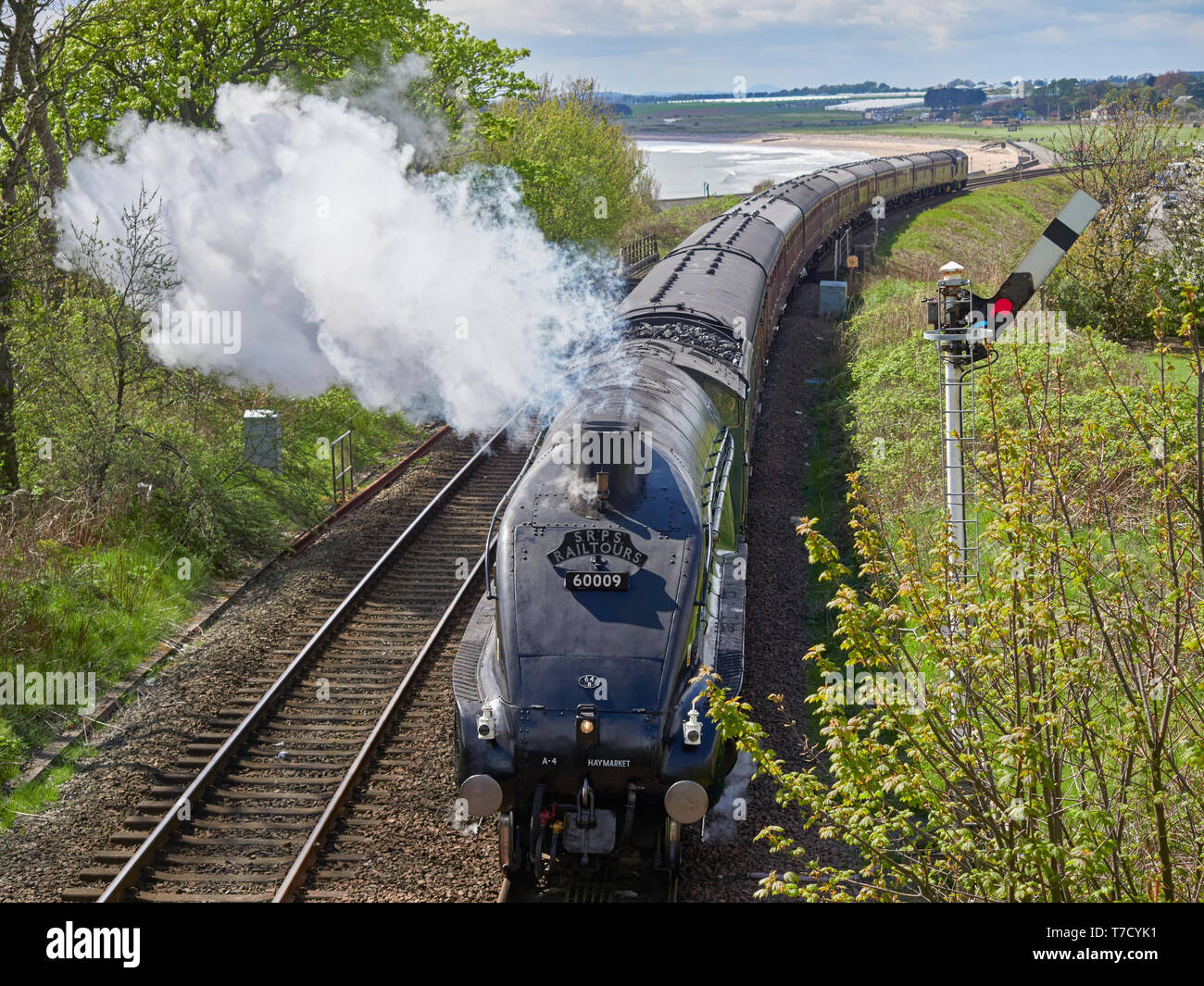 L'LNER A-4 Locomotive à vapeur, l'Union sud-africaine sur son chemin à travers Arbroath sur la côte Est de la ligne ferroviaire en mai. Arbroath, Ecosse. Banque D'Images