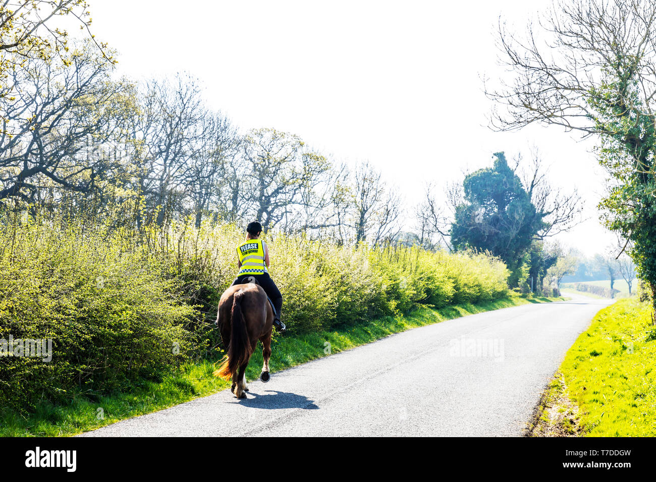 Le cheval et le cavalier sur route, à cheval horse sur route, ralentissez pour les chevaux, l'équitation sur la route, l'équitation, route, routes, cavalier, équitation, chevaux, rural, UK Banque D'Images
