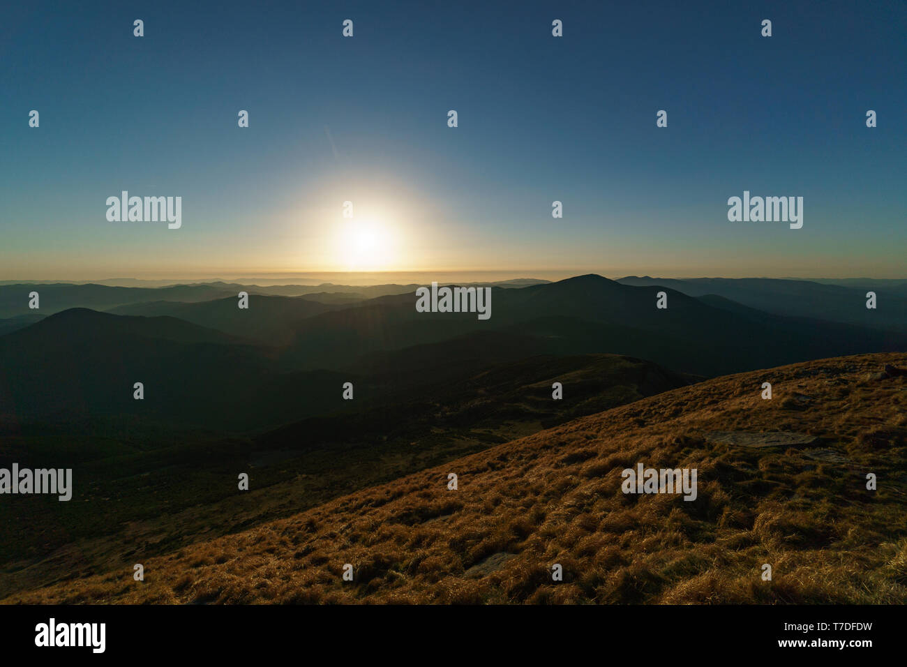 Coucher de soleil - paysage de montagne Mont Petros - Chornohora des Carpates ukrainiennes Banque D'Images