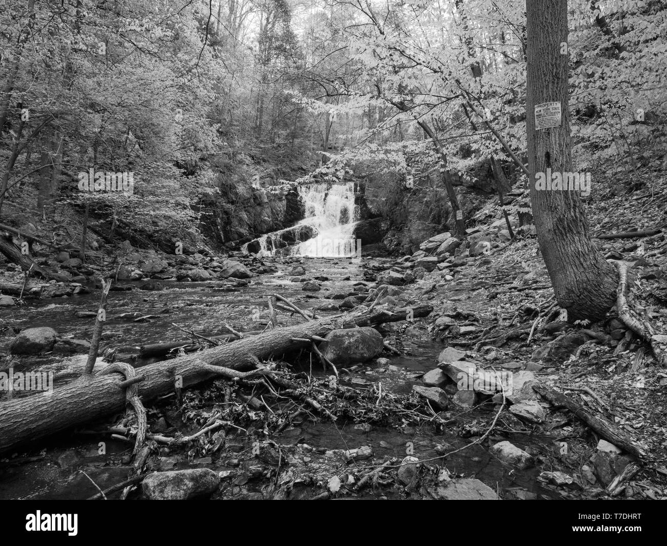 Noir et Blanc Chutes d'Indian Brook Banque D'Images